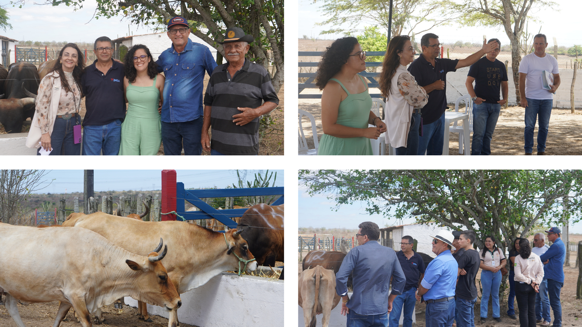 INSA e criadores comprometidos com a conservação e difusão da raça (Victor Lima)