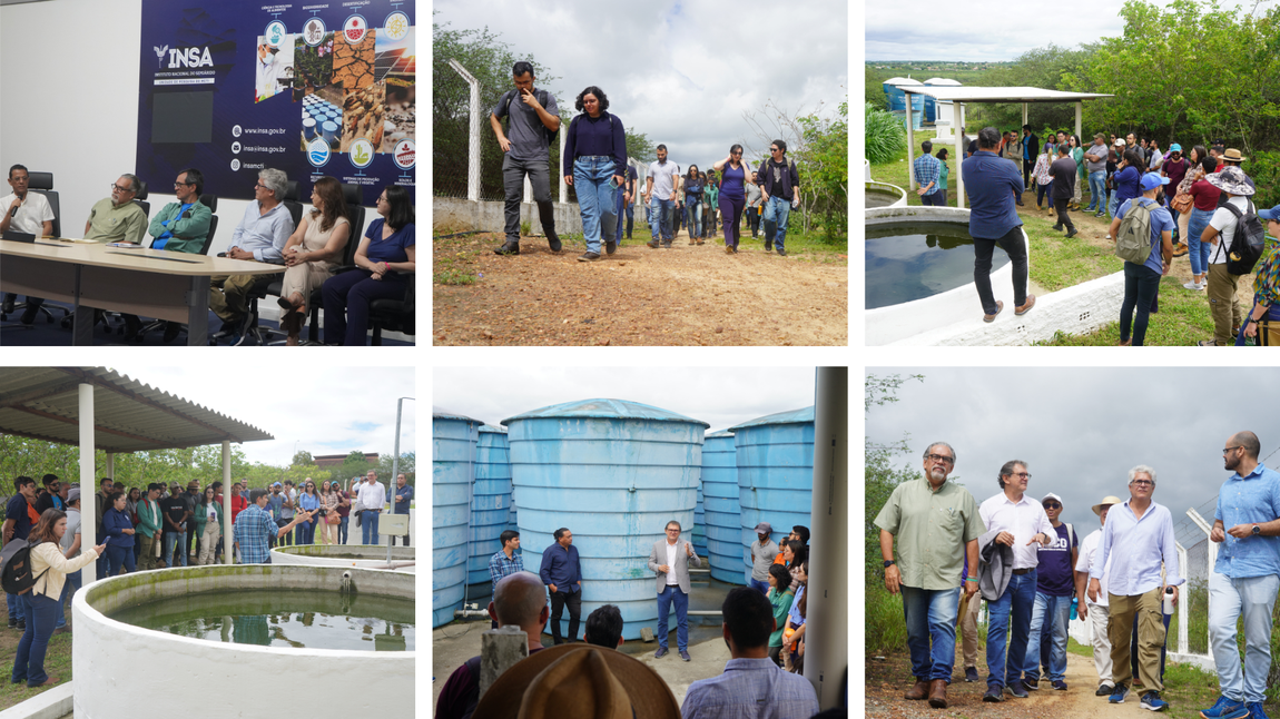 Mosaico de fotos mostrando visitas técnicas a experimentos do INSA