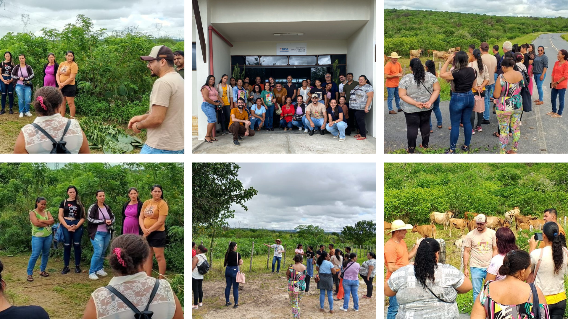 Os agricultores(as) conheceram as áreas experimentais de campos de forragem, além do laboratório de análise de alimentos e nutrição animal. (Fotos: Divulgação/INSA)