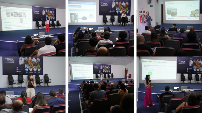 GRADE FOTOS SITE.png