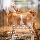 Inserir um título (5).png