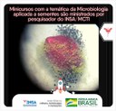14092021 Minicursos com a temática da Microbiologia aplicada a sementes são ministrados por pesquisador do INSAMCTI.jpeg