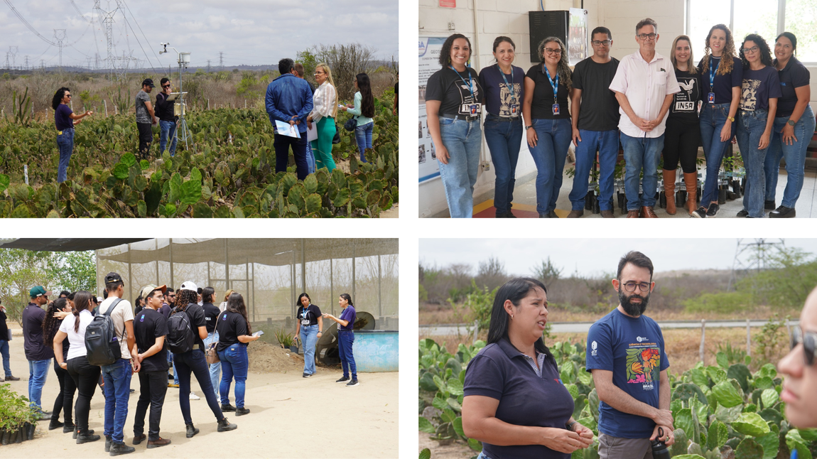 Apresentações dos experimentos