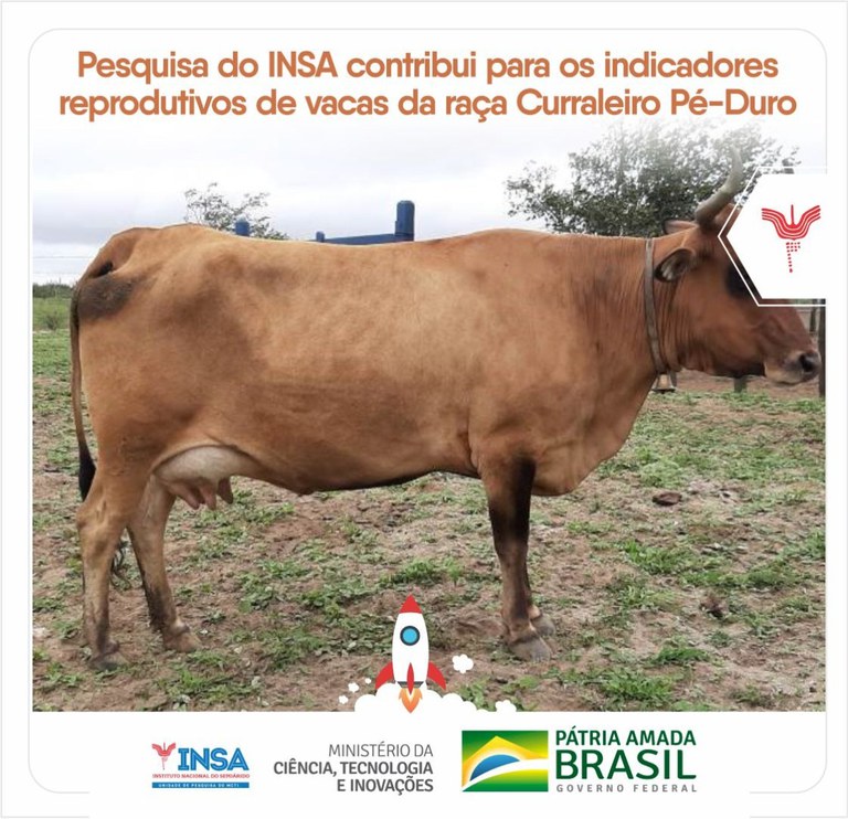 WhatsApp Image 2021-07-14 at 13.26.25.jpeg