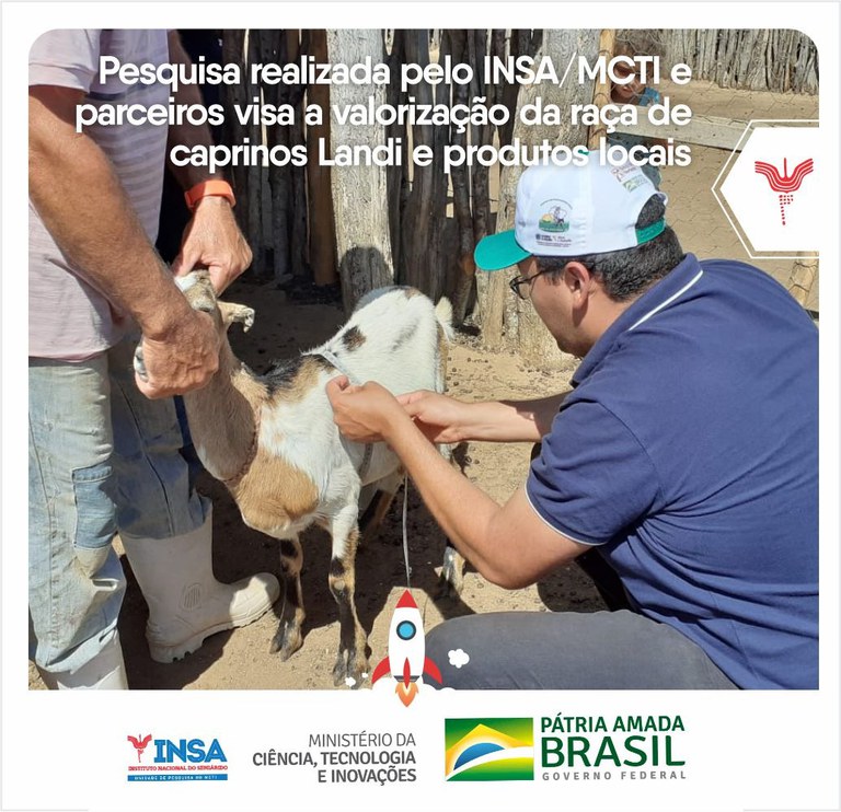 14102021 Pesquisa realizada pelo INSAMCTI e parceiros visa a valorização da raça de caprinos Landi e produtos locais 0.jpeg