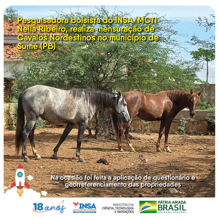 24052022 Mensuração de Cavalos Nordestinos no município de Sumé.jpg