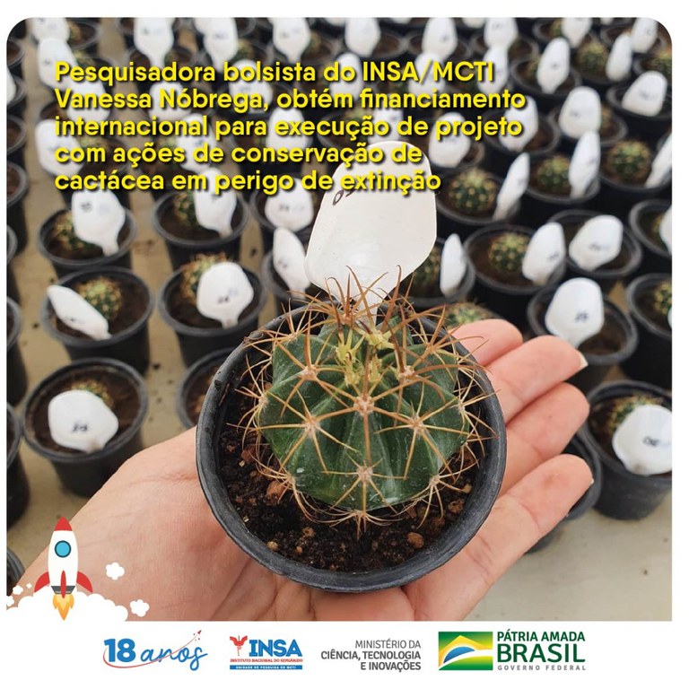 16052022 Pesquisadora bolsista do INSAMCTI obtém financiamento internacional.jpg