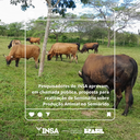 07062024 Pesquisadores do INSA aprovam proposta