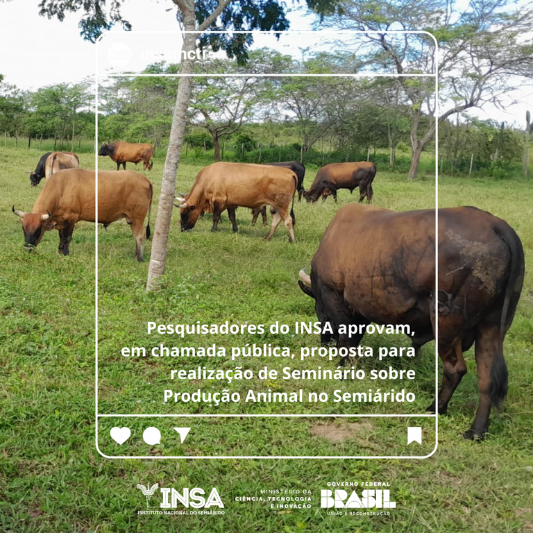 07062024 Pesquisadores do INSA aprovam proposta