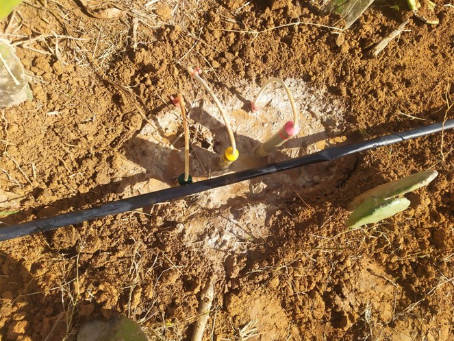 10052022 Pesquisadores realizam monitoramento periódico da qualidade do solo em Unidade de reúso do INSAMCTI em Nossa Senhora das Dores (SE).jpeg