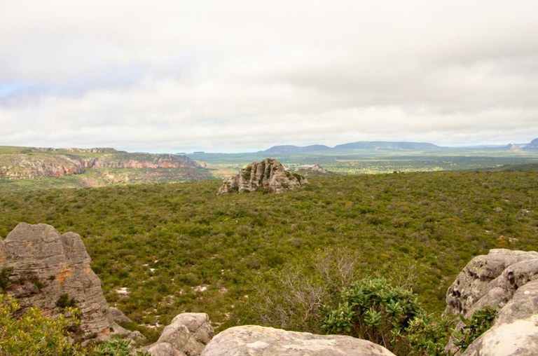 Caatinga