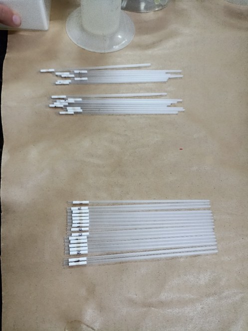 INSA/MCTI realiza coleta de material genético para análise e criopreservação