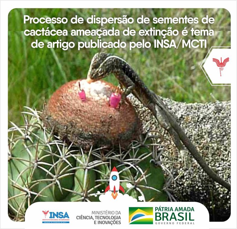 23092021 Processo de dispersão de sementes de cactácea ameaçada de extinção é tema de artigo publicado pelo INSAMCTI.jpeg