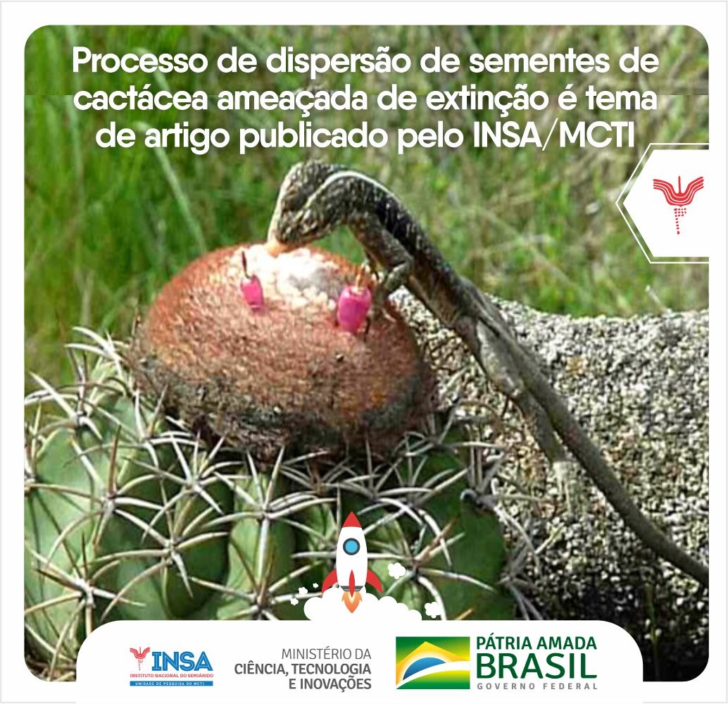 23092021 Processo de dispersão de sementes de cactácea ameaçada de extinção é tema de artigo publicado pelo INSAMCTI.jpeg