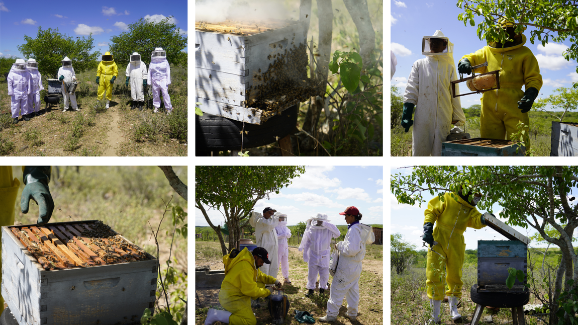 Projeto “Abelhas do Semiárido” realiza visita técnica a produtores do município de Gurjão