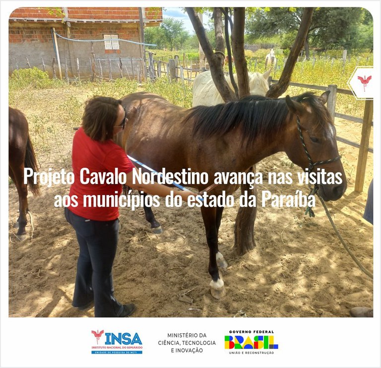 WhatsApp Image 2023-03-14 at 09.19.19.jpeg