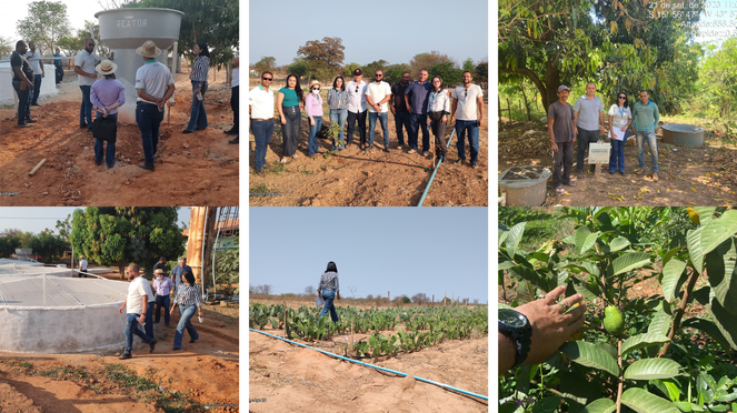 GRADE FOTOS SITE3.png