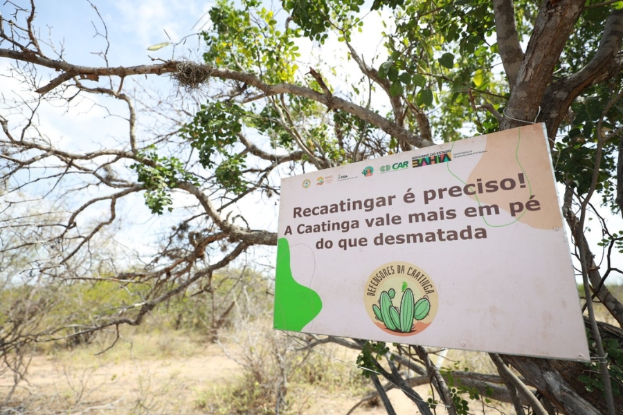 Foto de card principal com placa sobre  o programa de recaatingamento.