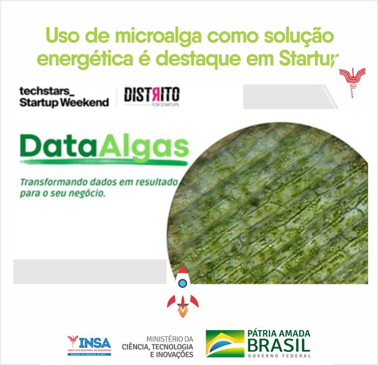 22102021 Uso de microalga como solução energética é destaque em Startup 0.jpeg