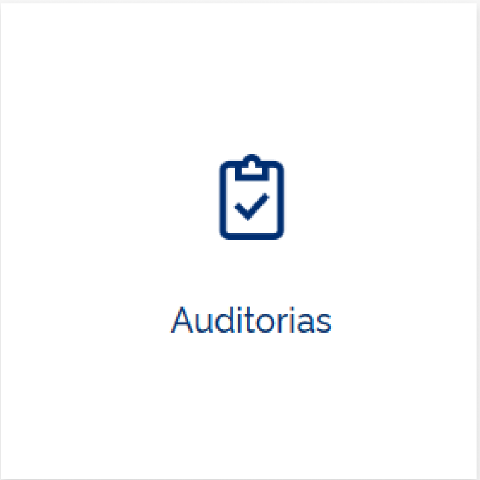Auditorias