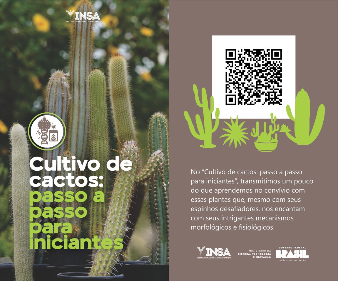 Cartilha Cultivo de Cactos: passo a passo para iniciantes