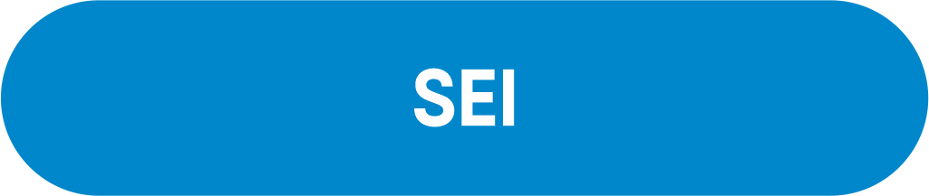 Serviço Eletrônico de Informações - SEI