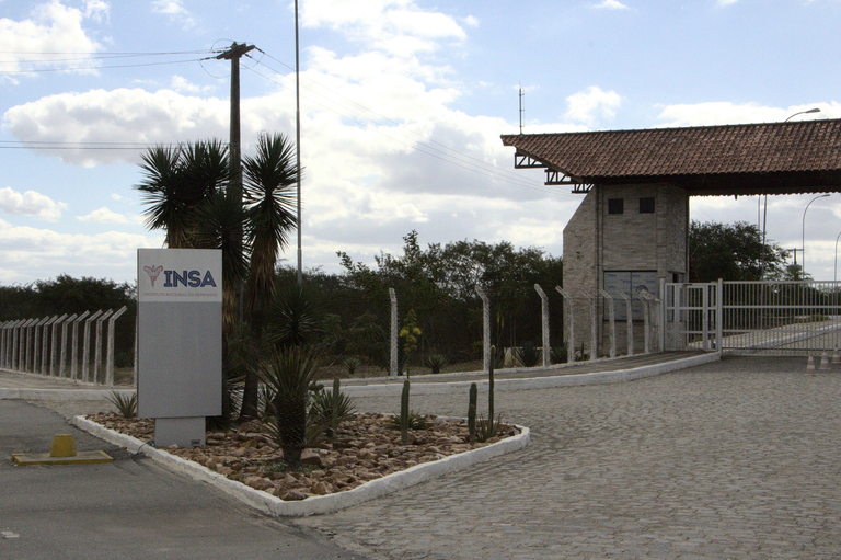 INSA/MCTI suspende temporariamente serviço de Doação de Mudas e Raquetes de Palma Forrageira