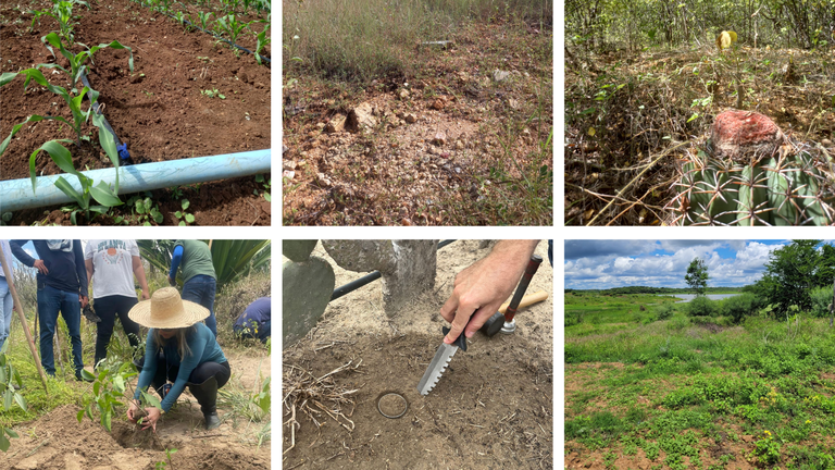 15 de abril – Dia Nacional da Conservação do Solo