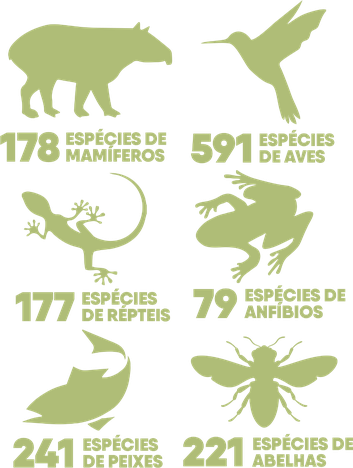 diversidade animal.png