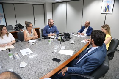 comite destaquinho.jpeg