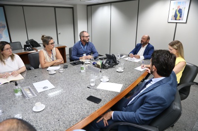 comite destaquinho.jpeg