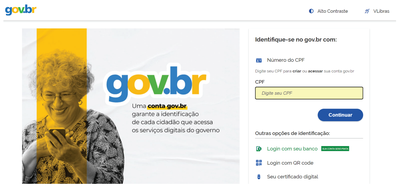 2. Informe seu CPF e senha.png