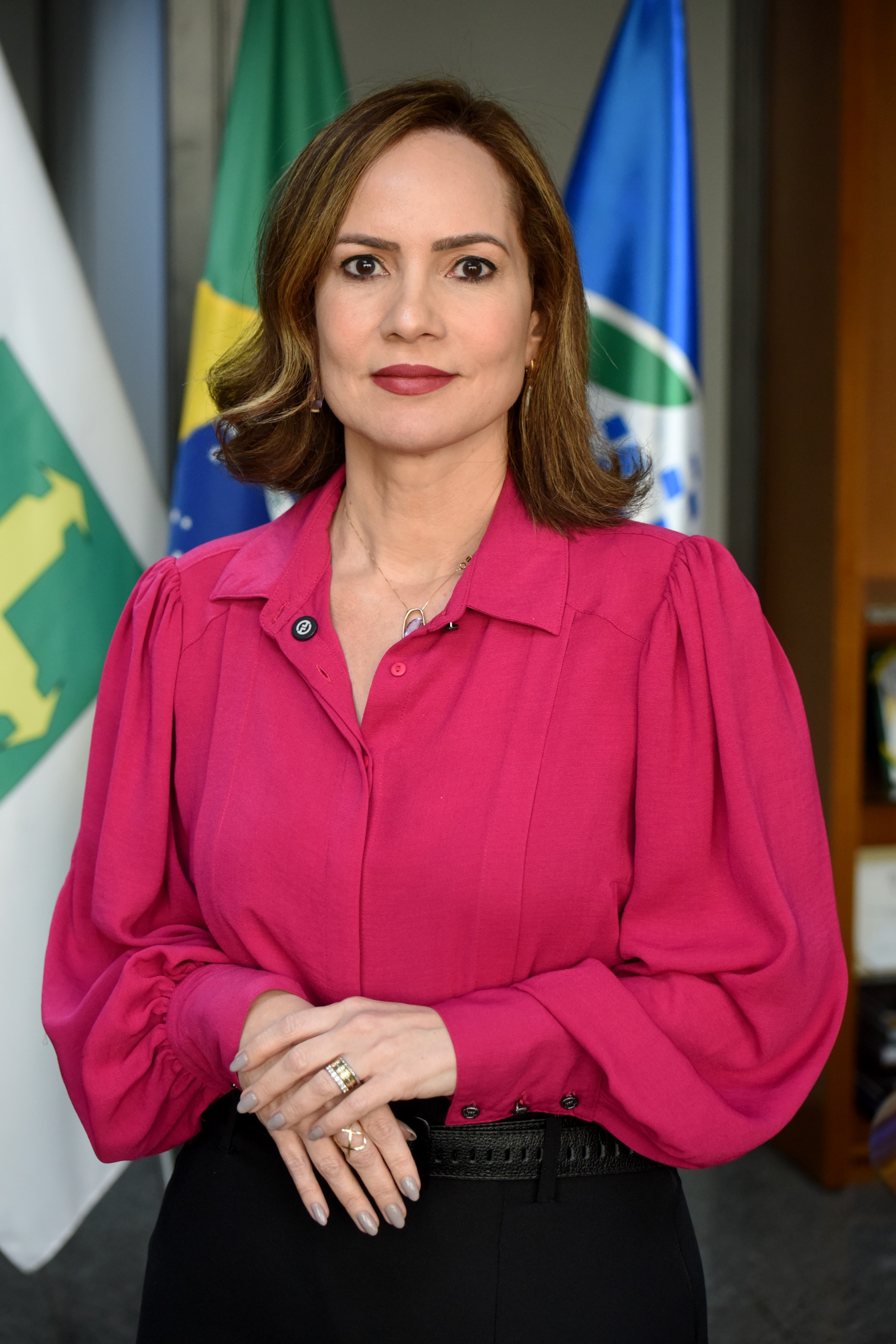 ANA CRISTINA VIANA SILVEIRA