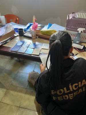 policia-federal.jpeg