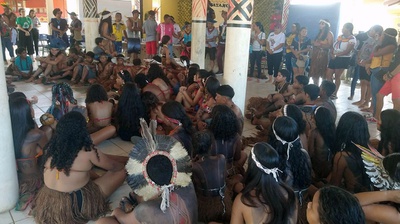 GEXITA ação Pau Brasil 8.jpg