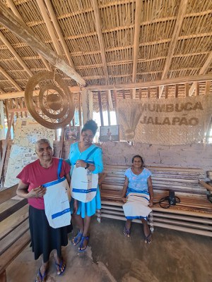 INSS atende no Jalpão
