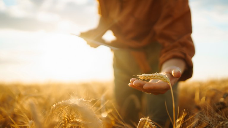 trabalhador rural.jpg