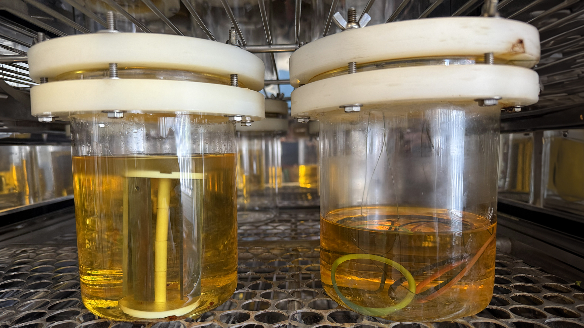 Biodiesel_02.jpg