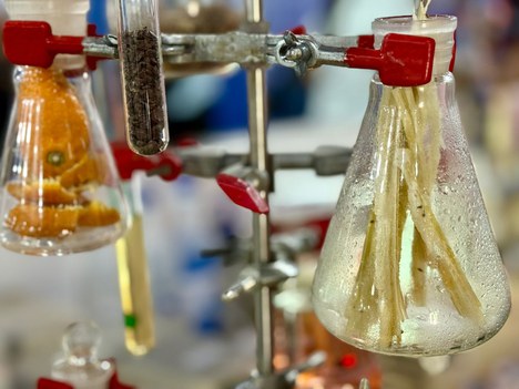 INT na SBPC 2025b.jpg