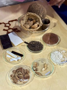 INT na SBPC 2025c.jpg