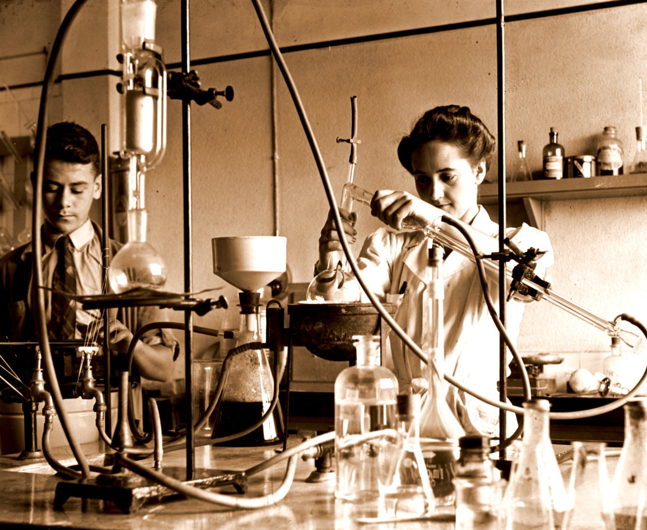 1b_INT 100 ANOS_BOX_Historia_2-Dra-Feiga.jpg