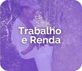 Trabalho e renda.png