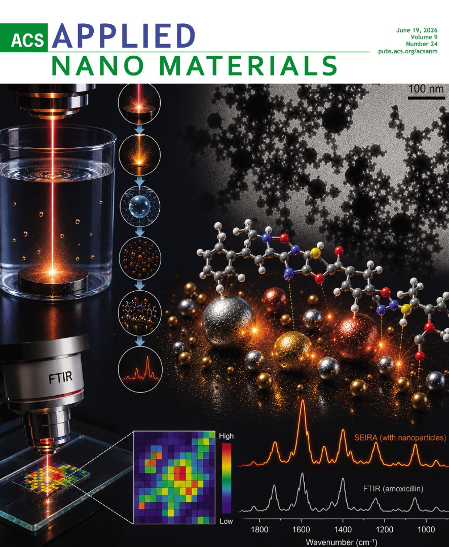 aanmf6.2026.9.issue-24.xlargecover-2_corte (1) (2).jpg