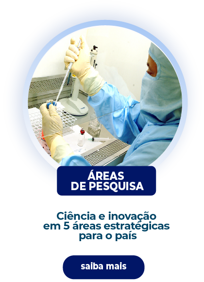 AREAS DE PESQUISA V2.png