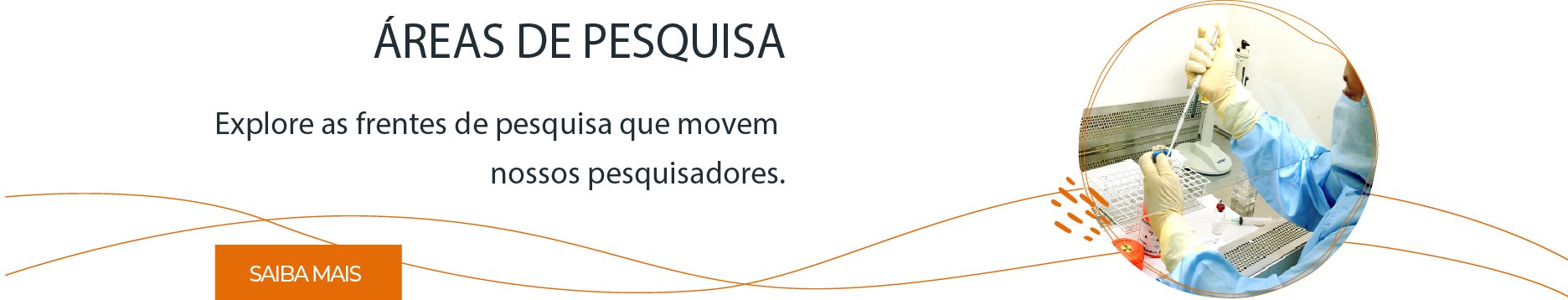 ÁREAS DE PESQUISA