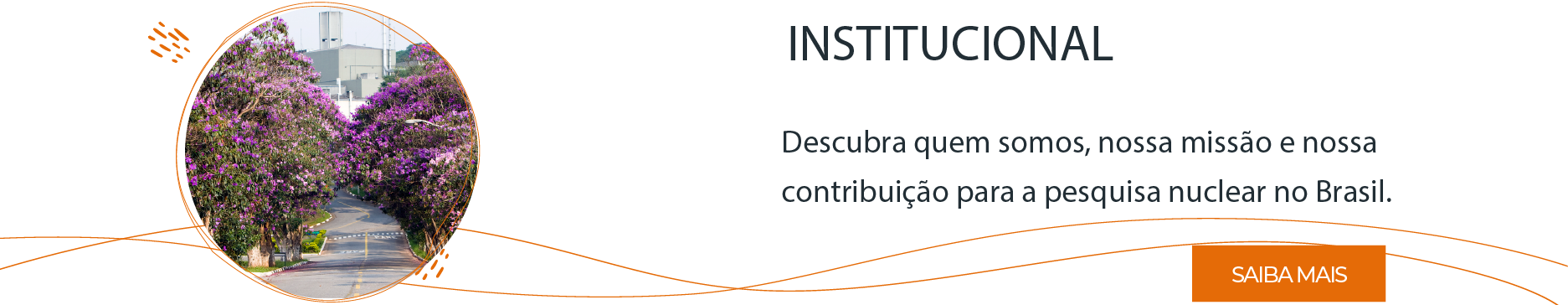 INSTITUCIONAL