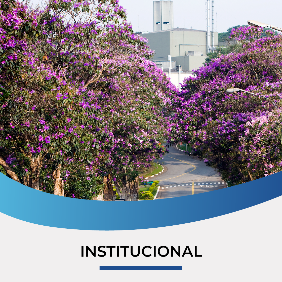 Acesso ao institucional, imagem de árvores na rua com edifício ao fundo.