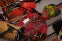 04-03-26-Kenia_105.jpg