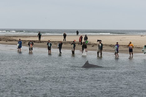 Fotos: Acervo Dossiê de Registro CANOA-UFSC/IPHAN