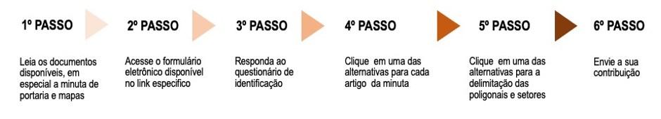 2021_Depam_ConsultaPública_PassoAPasso